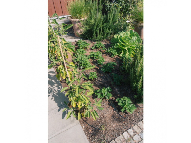 Zavlažovací sada pro květináče a truhlíky, 15 m hadice Obrázek