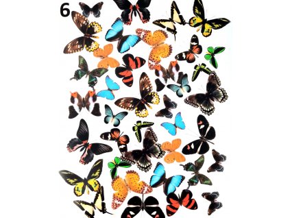 Set nálepiek motýľov - viac druhov