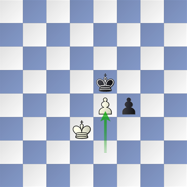 Speciální tahy v šachu