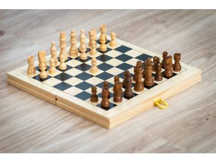Dřevěné šachy ECO