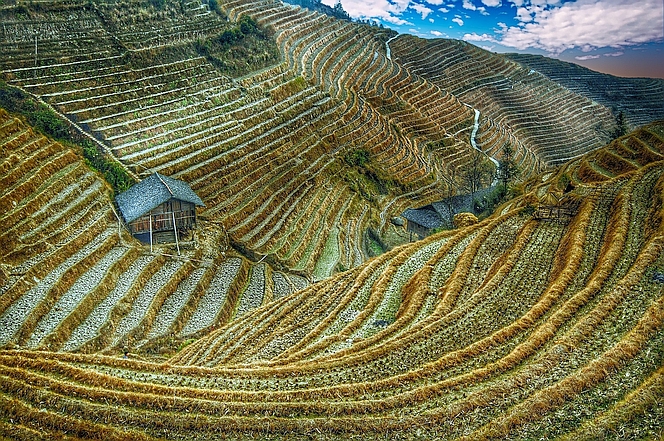 SAN BAO rýžová pole
