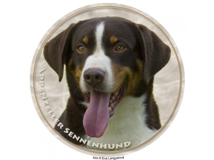Nálepka Appenzelský salašnícky pes - Appenzeller Sennenhund