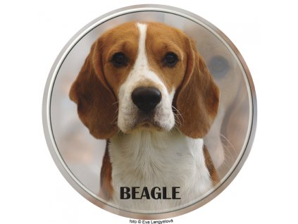 Nálepka Bígl - Beagle