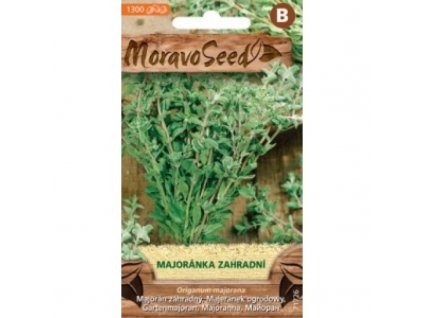 majoranka-zahradni-origanum-majorana