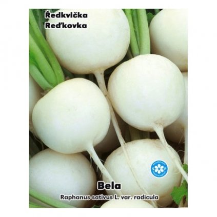 Ředkvička bílá - Bela - semena ředkvičky 4 g, 400 ks