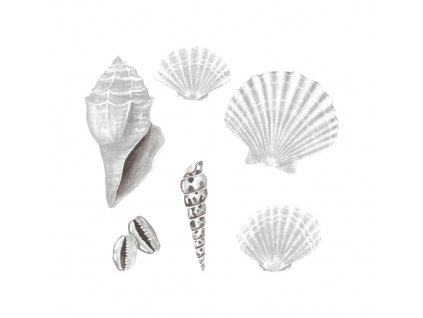 Wallstories Seashell white 500x500