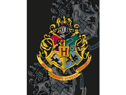 Detská fleece deka Harry Potter, 130x170 cm
