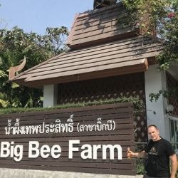 Včelárenie v THAJSKU