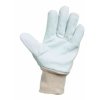 CERVA - PELICAN PLUS pracovní kombinované rukavice jemná kůže - velikost 9