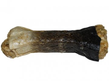 Pawerce žvýkací kost z lososa 17 cm