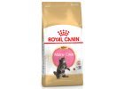 Granule pro britské kočky Royal Canin 36 Kitten Maine Coon