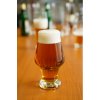 R-glass BARON sklenice na craft beer 500 ml