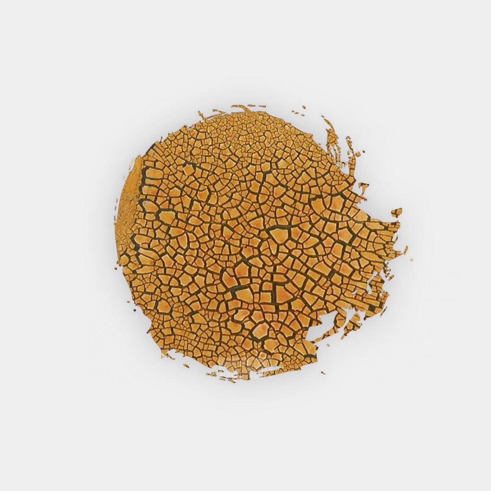Citadel Texture Paint - Agrellan Earth Obrázek