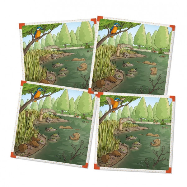 Albi BrainBox Pod lupou: V divočině Obrázek