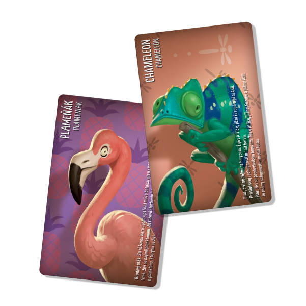 Albi Similo: Báje Obrázek