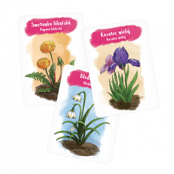 Albi Pidikarty - Květiny Obrázek