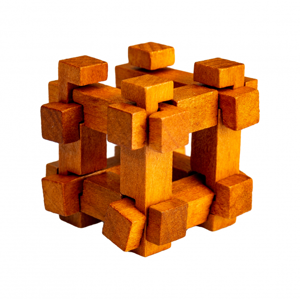 Albi Great Minds - DARWIN Obrázek