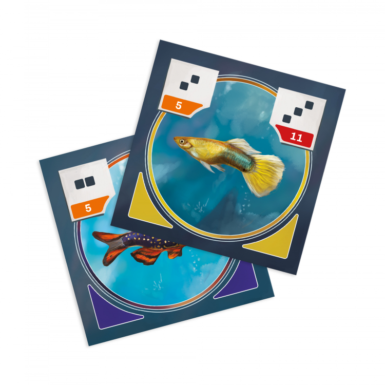 Albi Akvárko Obrázek