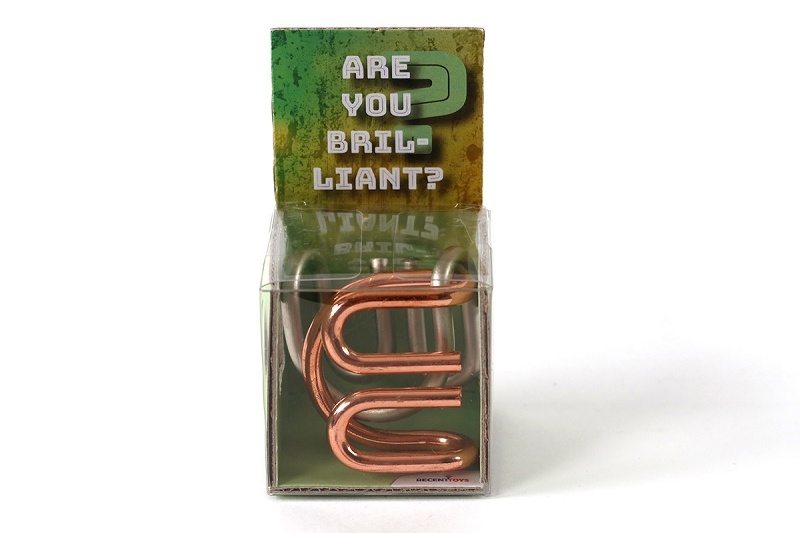 RECENTTOYS Are you Brilliant Obrázek