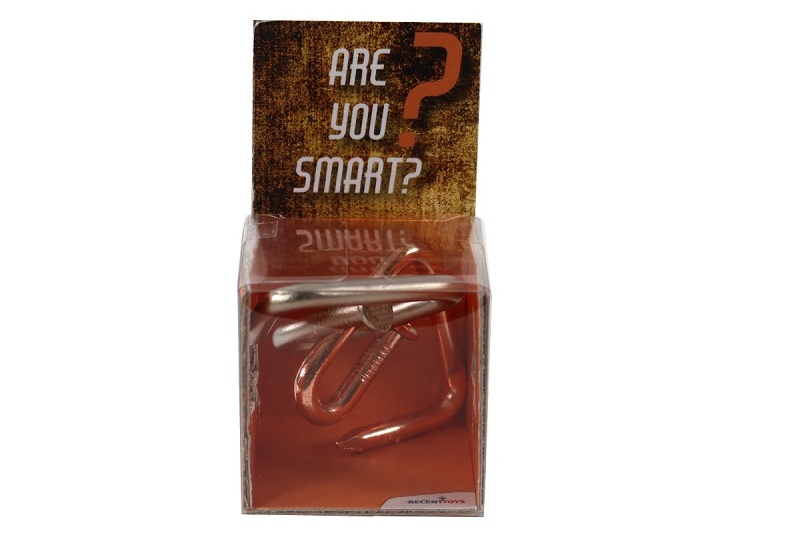 RECENTTOYS Are you Smart Obrázek