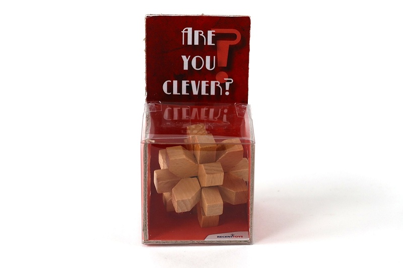 RECENTTOYS Are you Clever Obrázek