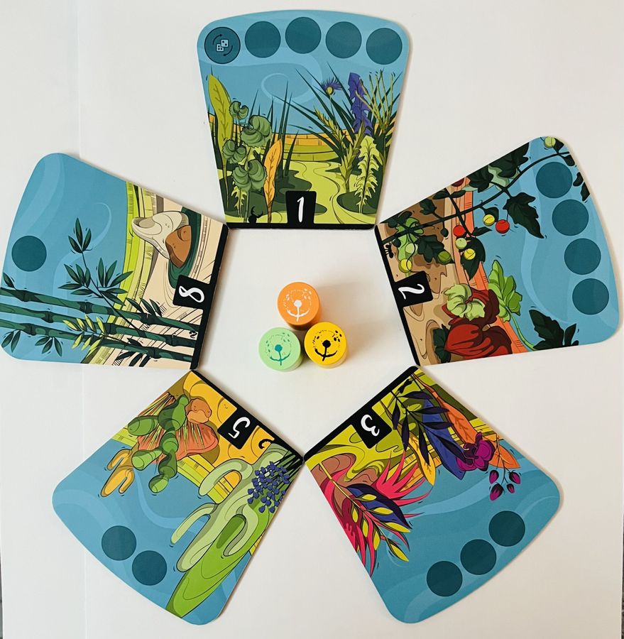 Allplay Dandelions Obrázek