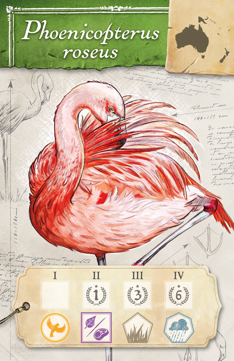 Blackfire CZ Encyklopedie Obrázek