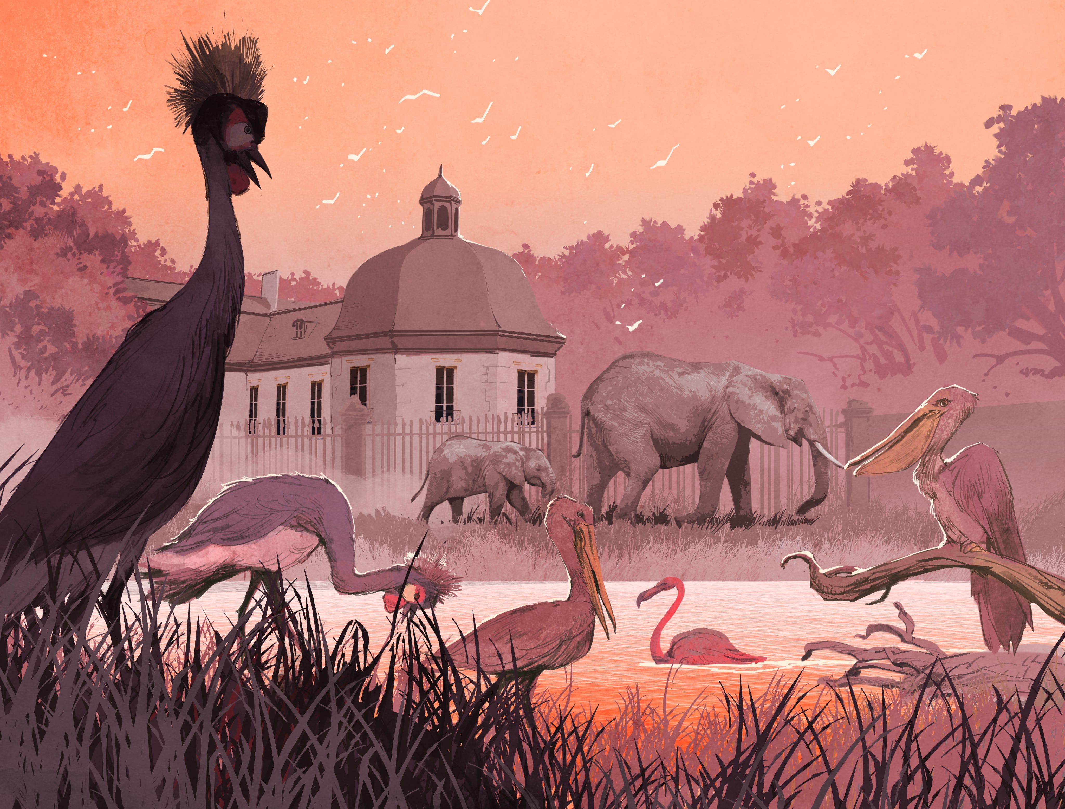 Blackfire CZ Encyklopedie Obrázek