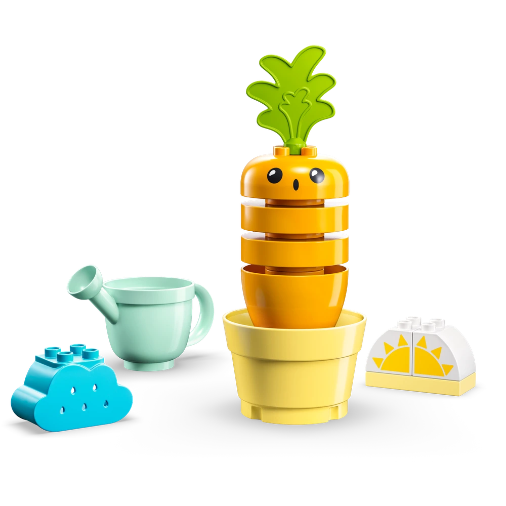 LEGO® Pěstování mrkve 10981 Obrázek