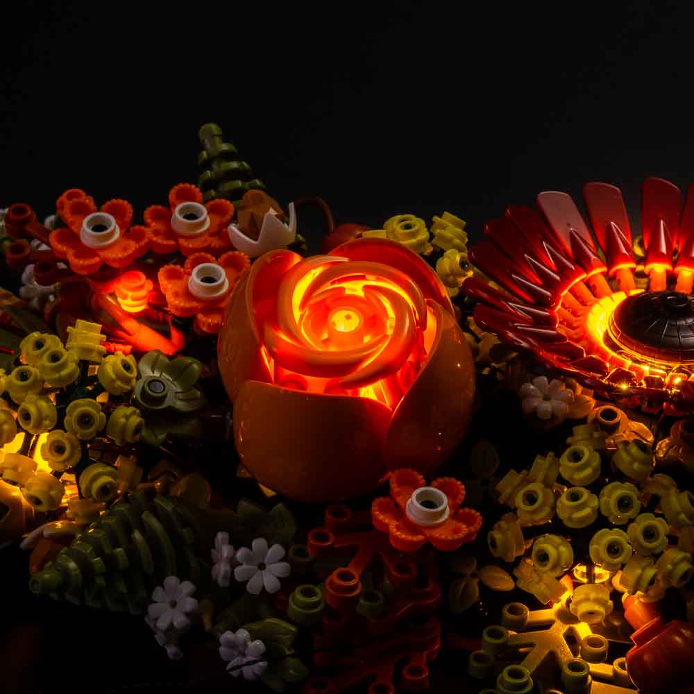 Light my Bricks Sada světel - LEGO Dried Flower Centrepiece 10314 Obrázek