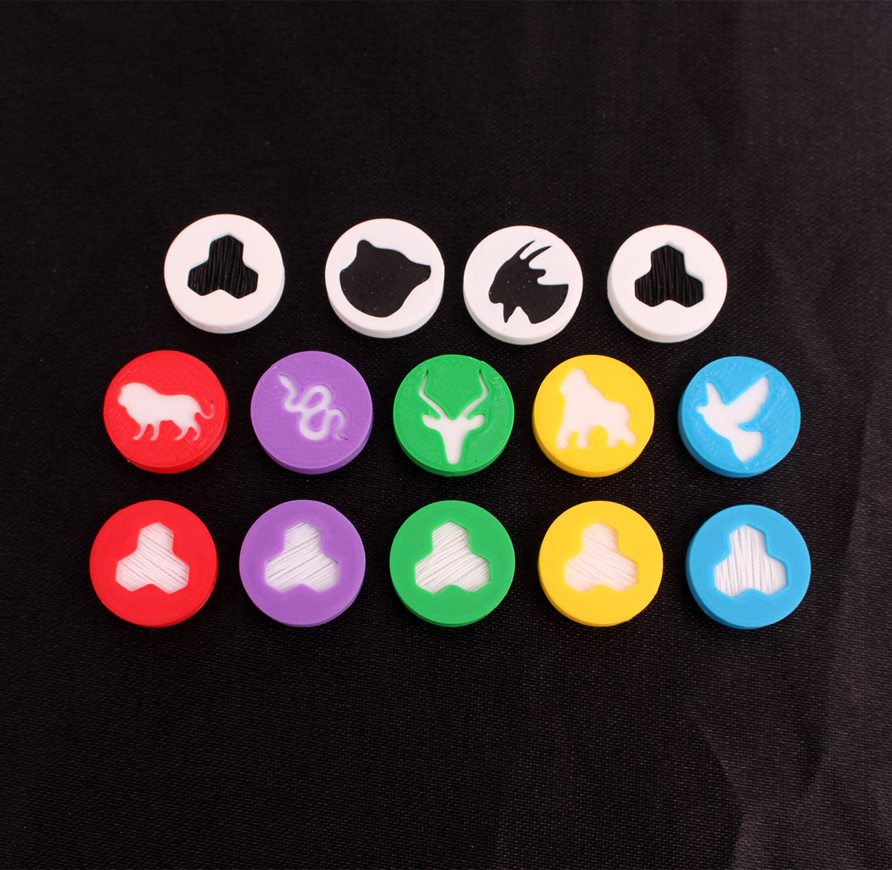 Myší Doupě Archa Nova - Zvířata Obrázek