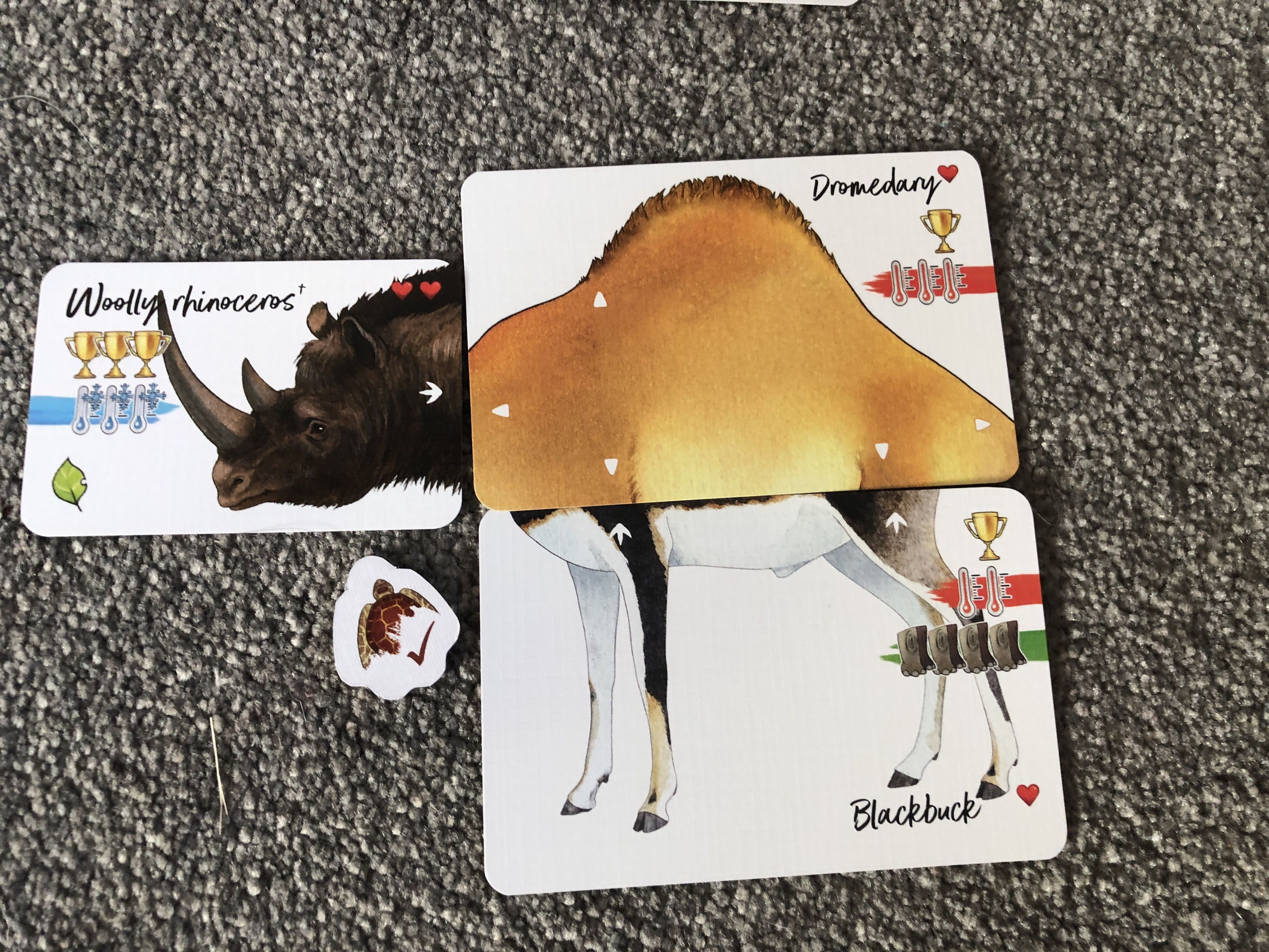 Treecer Darwin's Choice: Before and After Obrázek