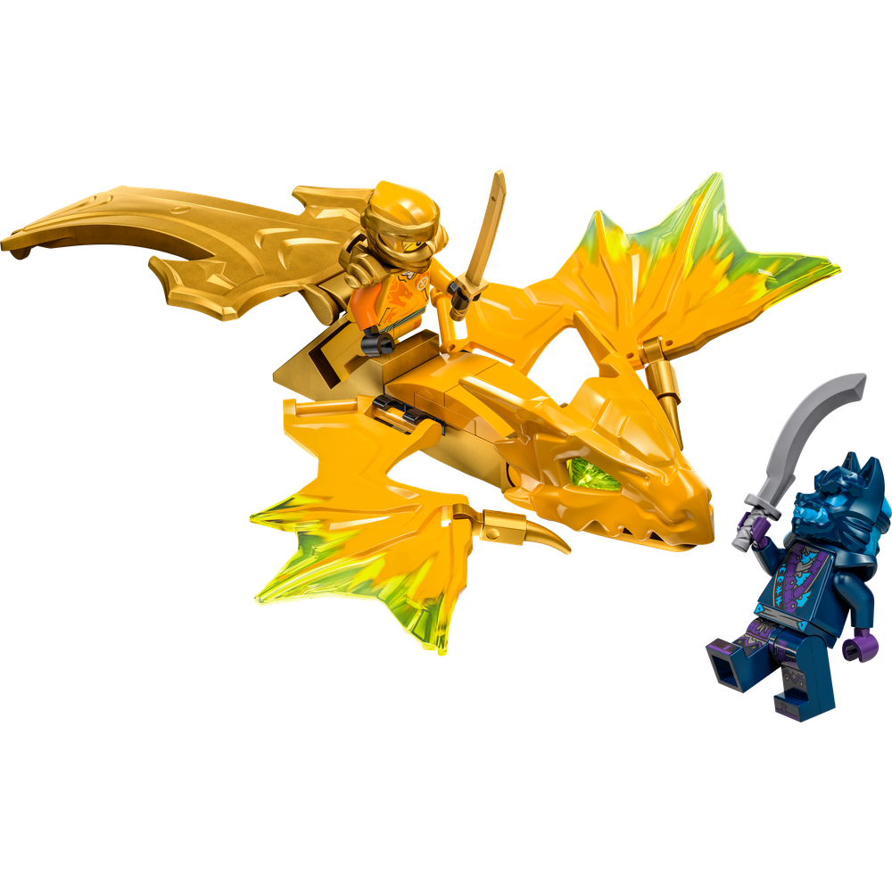 LEGO® Arin a útok draka 71803 Obrázek