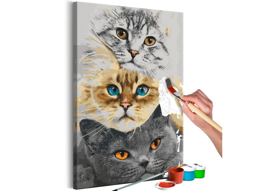Maľovanie podľa čísiel - Cat's Trio