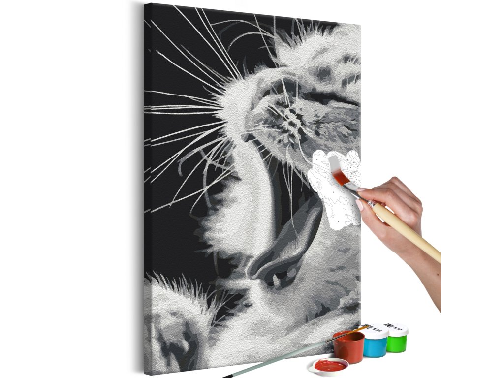 Maľovanie podľa čísiel - Yawning Kitten