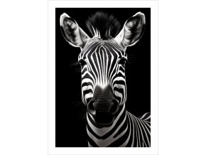 Plakát Happy zebra tisk