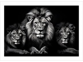 Plakát Lví rodina tisk
