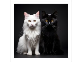 Plakát Kočky u fotografa 2 tisk