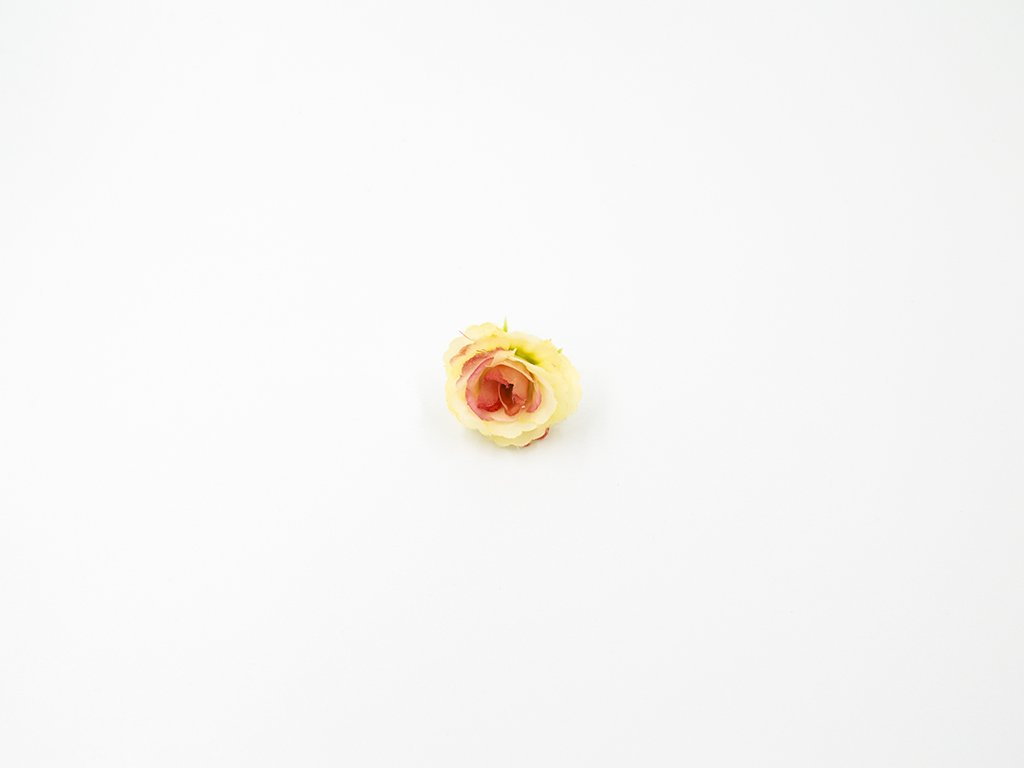 Růže 005 růžovo žlutá