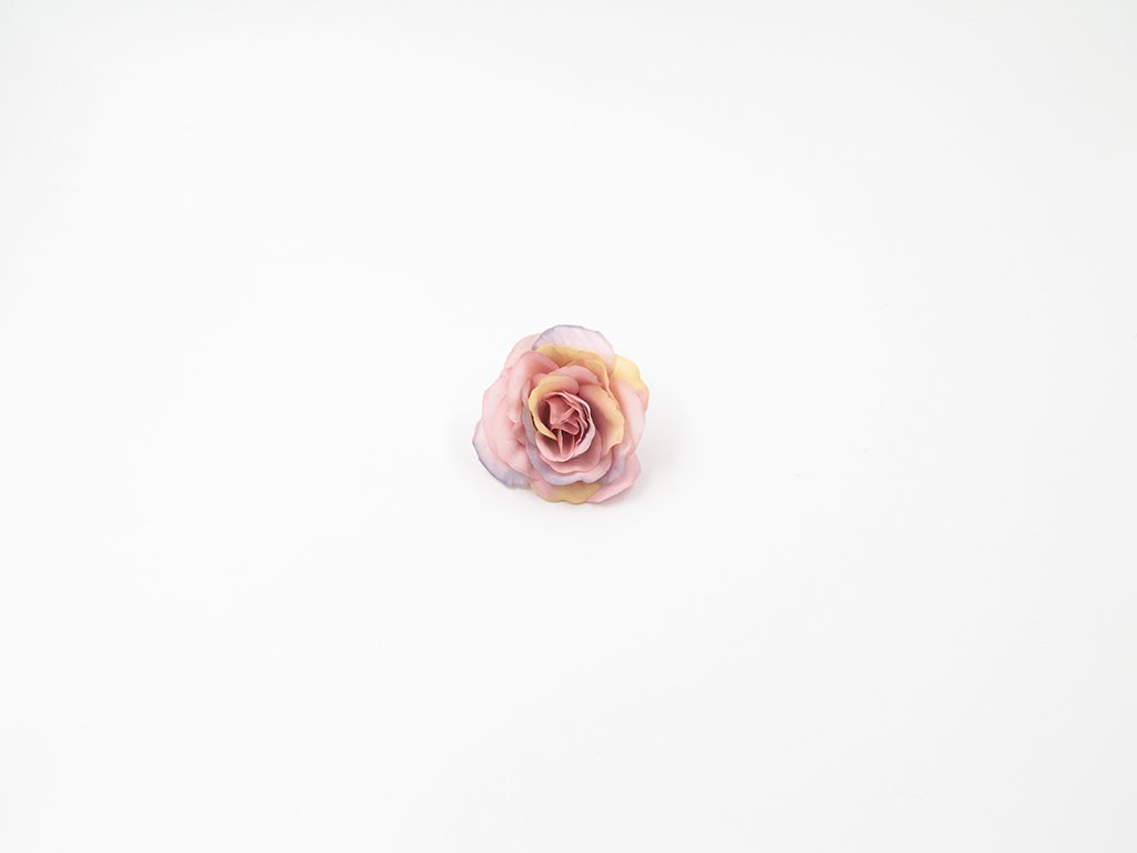 Růže 011 fialkovo růžová