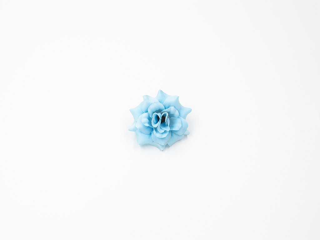 Růže 010 modrá