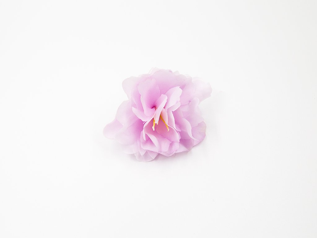 Kamélie 003 fialkovo růžová