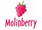 arómy Molinberry / Sobucky