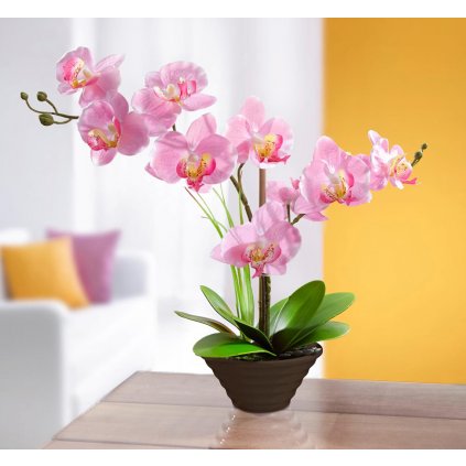 Dekorační orchidej