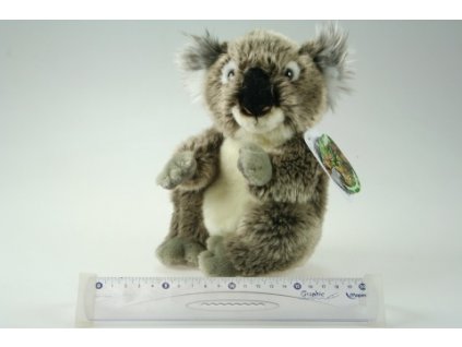 plyšová koala 16cm