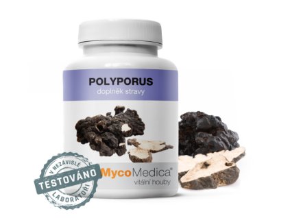 Polyporus 90 tobolek MycoMedica