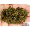 P1010058 NepustilTea.cz vietnamese butterfly tea nt a 022