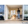 DogSpace Rocky L extra hohe (105cm) Raumbarriere, weiß