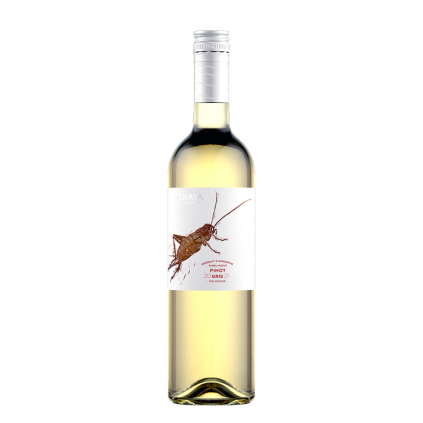 Pinot Gris 2021 Thaya pozdní sběr suché Pozdravy z národního parku Wine of Czech Republic Michal Procházka Vinotéka Klánovice