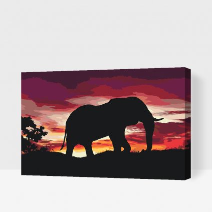 Maľovanie podľa čísiel - Africký slon pri západe slnka
